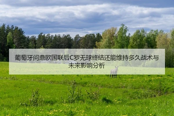 pu-tao-ya-wen-ding-ou-guo-lian-hou-luo-wu-qiu-zhong-jie-hai-neng-wei-chi-duo-jiu-zhan-shu-yu-wei-lai-ying-xiang-fen-xi-2-437.jpg